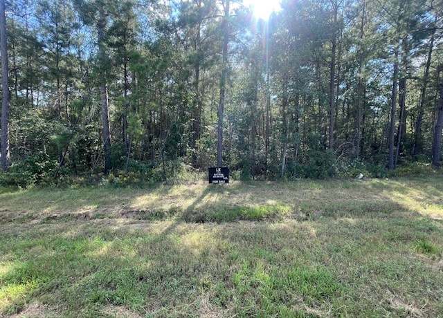 Property at 108 Coyote Run, Willis, TX 77378