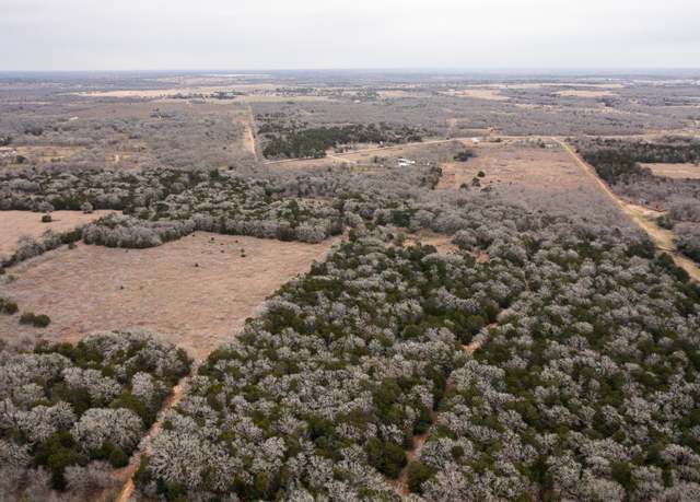Property at 17 Acres - 000 Grassyville Rd, Paige, TX 78659
