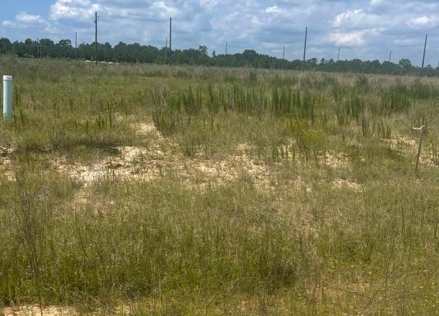 Property at 856 Road 591503 Teresa Dr, Cleveland, TX 77327