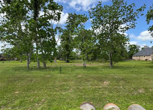 Property at 17114 Hamill Dr, Rosharon, TX 77583