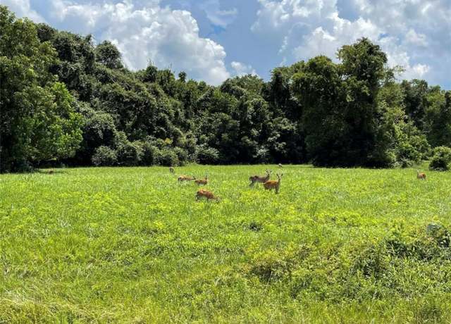 Property at 334 Lakeview Dr, Angleton, TX 77515