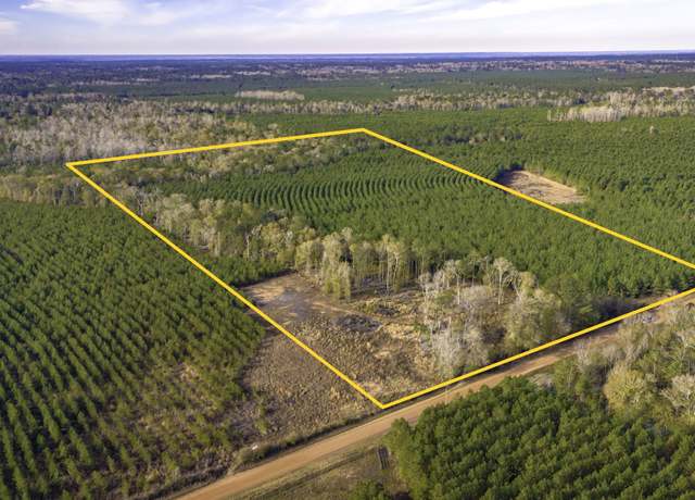Property at 950 Tram Rd, Livingston, TX 77351