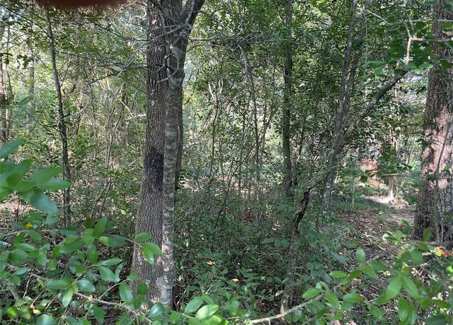 Property at tbd Hoda Dr, Conroe, TX 77318