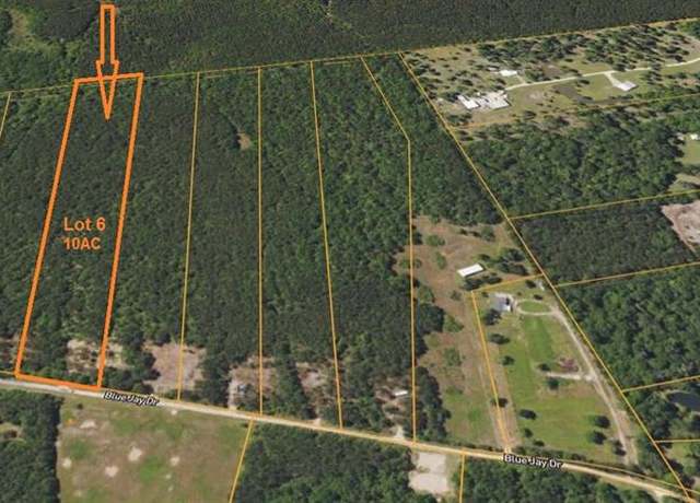 Property at Lot 6 Blue Jay Dr, Kountze, TX 77625