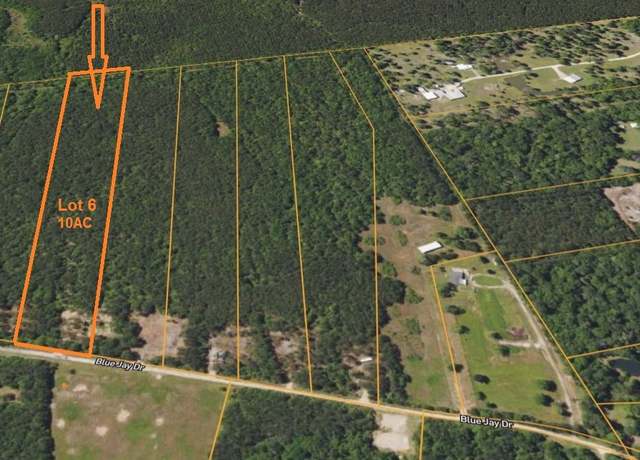 Property at Lot 6 Blue Jay Dr, Kountze, TX 77625
