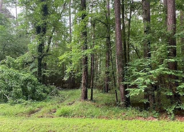 Property at TBD Governor Pease Cir, Point Blank, TX 77364