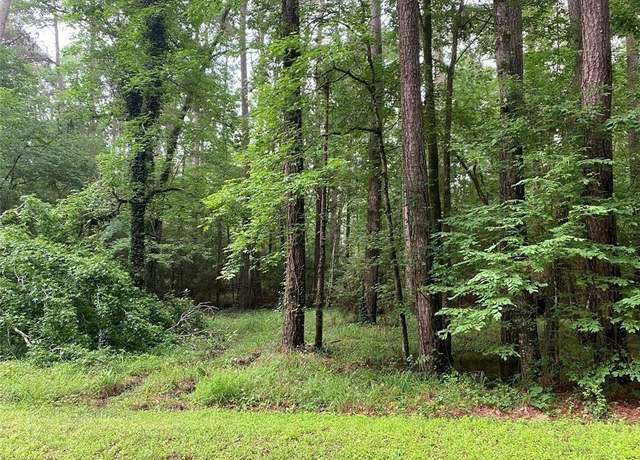 Property at TBD Governor Pease Cir, Point Blank, TX 77364