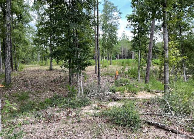 Property at 0 Bonfire, Livingston, TX 77351