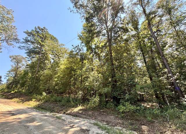 Property at TBD County Road 3140, Colmesneil, TX 75938