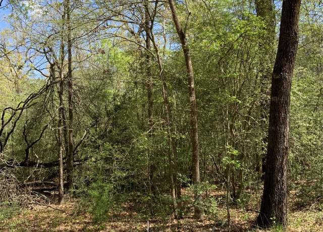 Property at 137 Foyt Dr, Livingston, TX 77351