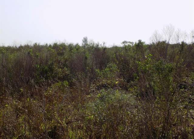 Property at 164 CR 291 Red Bend Rd, Sargent, TX 77414