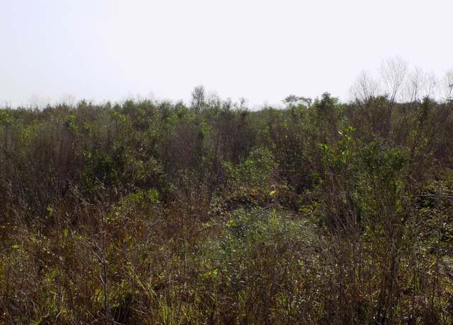 Property at 164 Cr 291 Red Bend Rd, Sargent, TX 77414