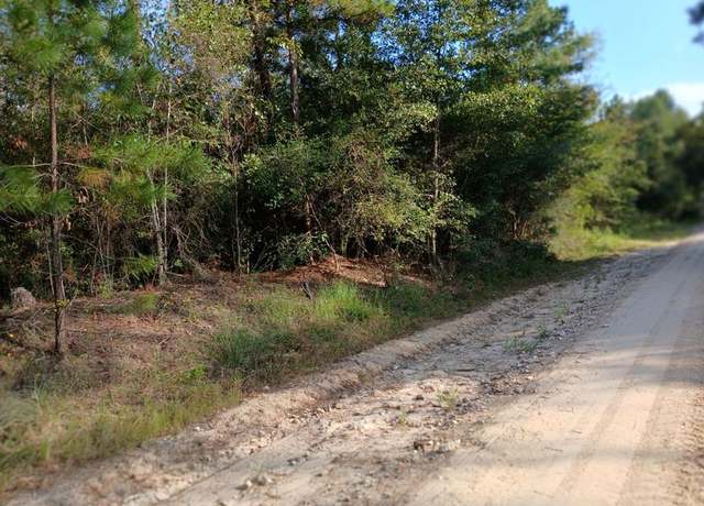 Property at 111 Bill Jones Rd, Groveton, TX 75845