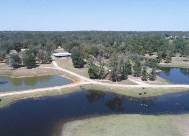 Property at 8775 I-45 S, Centerville, TX 75855, 4 beds, 4 baths