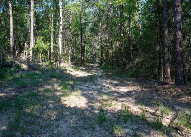 Property at tbd County Rd 3000, Woodville, TX 75979