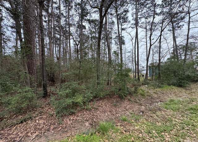 Property at Lot 105 Whisperwood Dr, Onalaska, TX 77360