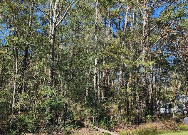 Property at 243 County Road 3662, Splendora, TX 77372