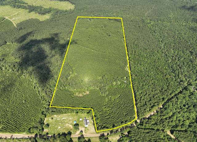 Property at 0 Cr 3550, Woodville, TX 75979