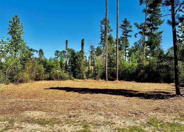 Property at 171 Brahman, Onalaska, TX 77360