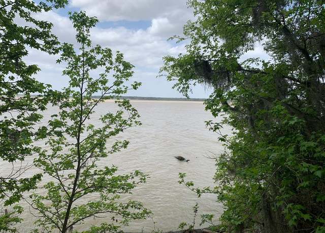 Property at TBD Barretts Landing Rd, Trinity, TX 75862