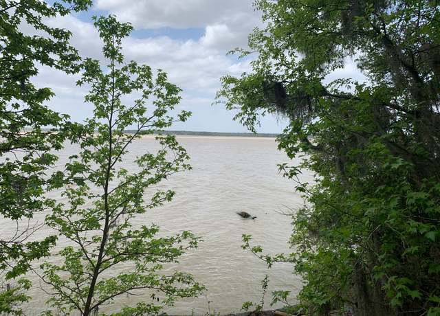 Property at TBD Barretts Landing Rd, Trinity, TX 75862
