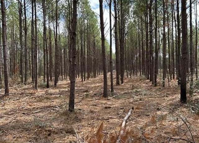 Property at TRACT 2 Lloyd Walker Rd, Huntington, TX 75949