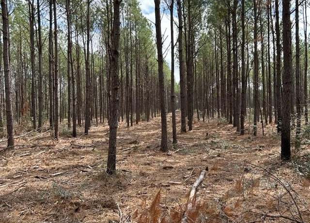 Property at TRACT 2 Lloyd Walker Rd, Huntington, TX 75949
