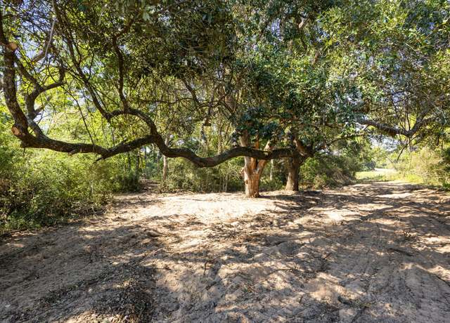 Property at TBD (TR3) Joshua Tree Lane At Brunes Mill Rd, Columbus, TX 78934