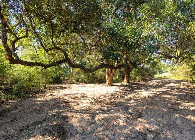 Property at TBD (TR3) Joshua Tree Lane At Brunes Mill Rd, Columbus, TX 78934
