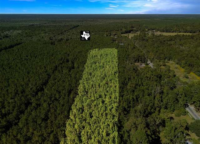 Property at 0 FM 770, Kountze, TX 77625