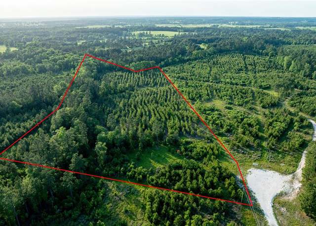 Property at Tract 171 Calhoun Ct, Lovelady, TX 75851
