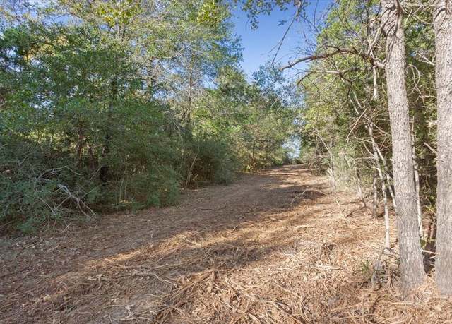 Property at 00 FM 1246, Thornton, TX 76687