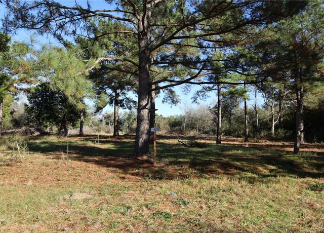 Property at 20792 Pearl St, Prairie View, TX 77484