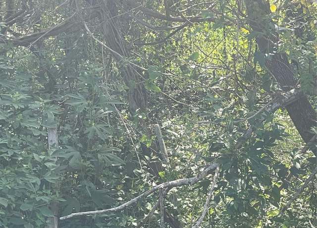 Property at 0 0 County Road 257, Egypt, TX 77436