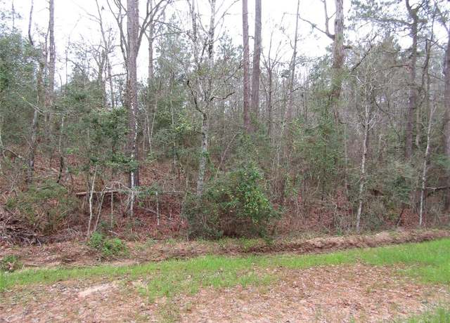 Property at 0 E Acorn Dr, Oakhurst, TX 77359