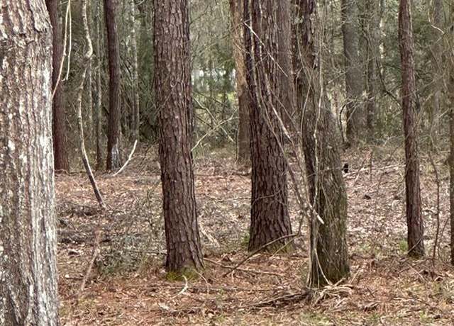 Property at 00000 CR 3015 Carters Loop Rd, Dayton, TX 77327