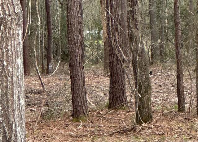 Property at 00000 Cr 3015 Carters Loop Rd, Dayton, TX 77327