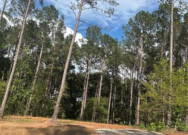 Property at 11350 Annie Creek Dr, Willis, TX 77378