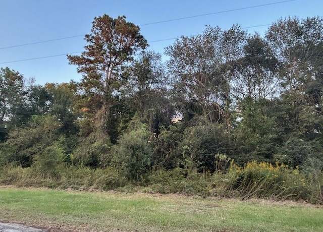Property at 0 Lady Ellen, Hockley, TX 77447