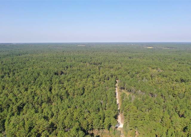 Property at Tract 2 Trinitylady Park Rd, Trinity, TX 75862