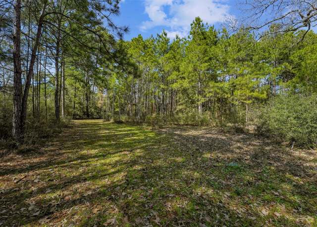 Property at 15245 Shady Oaks Dr, Stagecoach, TX 77355
