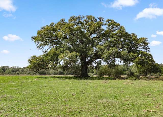 Property at 000 Frelsburg Rd, Alleyton, TX 78935