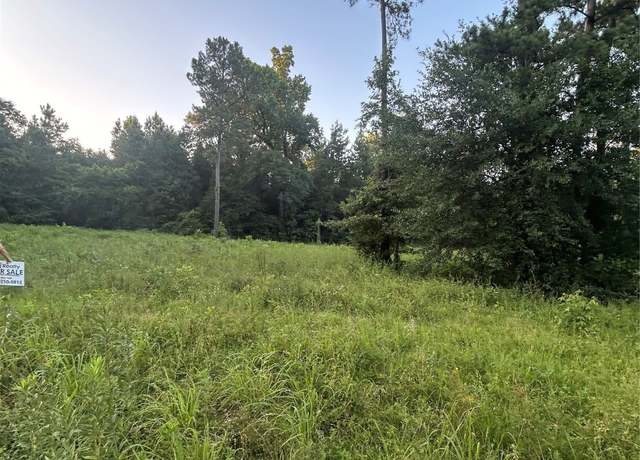 Property at 01 Broken Bough St, Shepherd, TX 77371