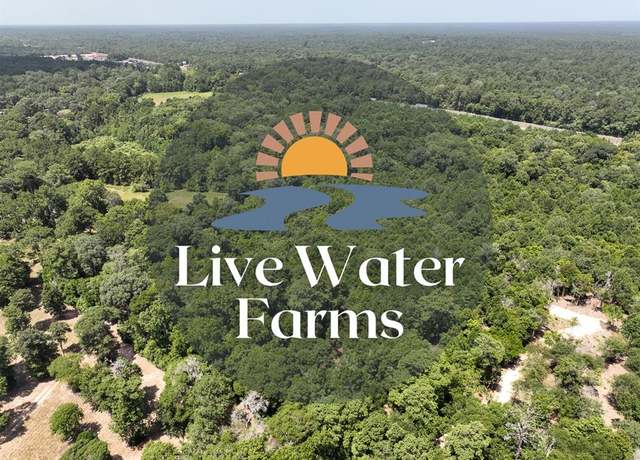 Property at S1L2 Lake Pool Rd, Shepherd, TX 77371