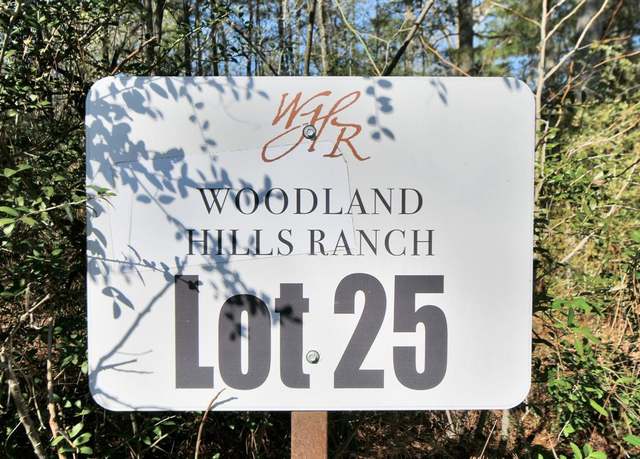 Property at Lot 25 PR 1284, Centerville, TX 75833