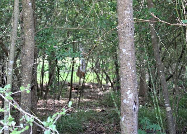 Property at 000 Running Deer, Grapeland, TX 75844