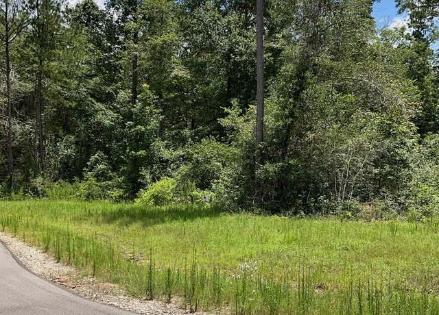 Property at 386 Iron Horse Rd, New Waverly, TX 77358