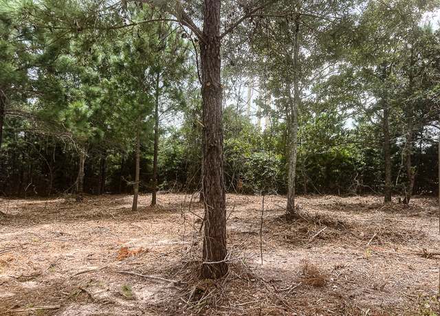 Property at 13553 County Road 446, Navasota, TX 77868