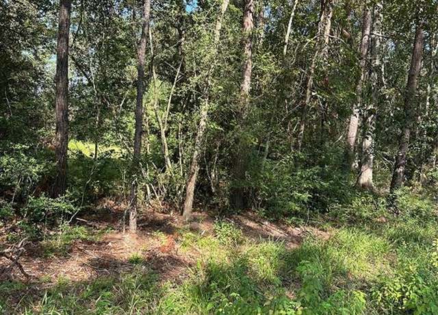 Property at 803 Scribe, New Caney, TX 77357