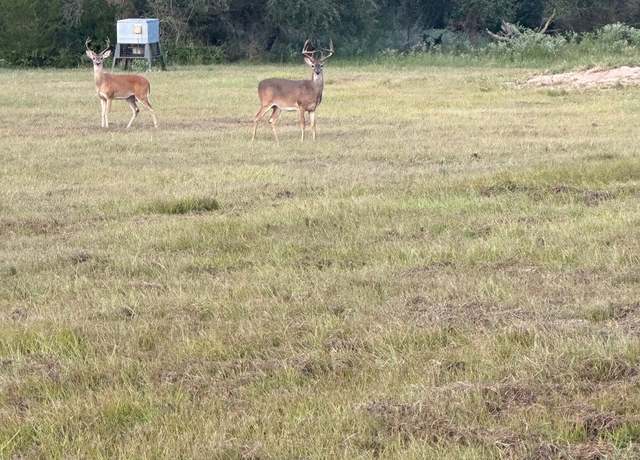 Property at 7121 County Road 125, Hallettsville, TX 77964, 2 baths